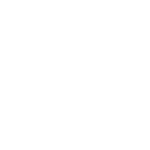 API CAPITAL